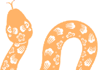 20250126171547_9259